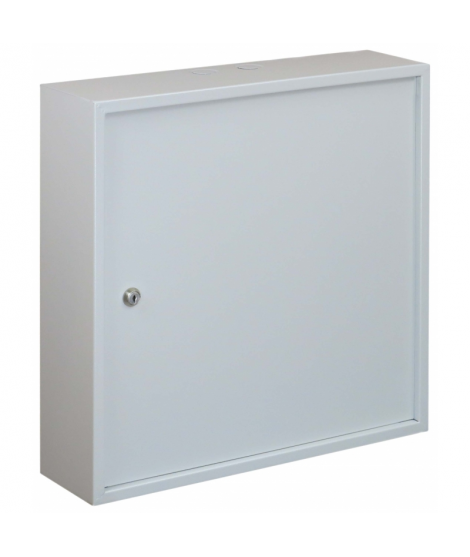 TPR-50/50/14 wall mounting cabinet
